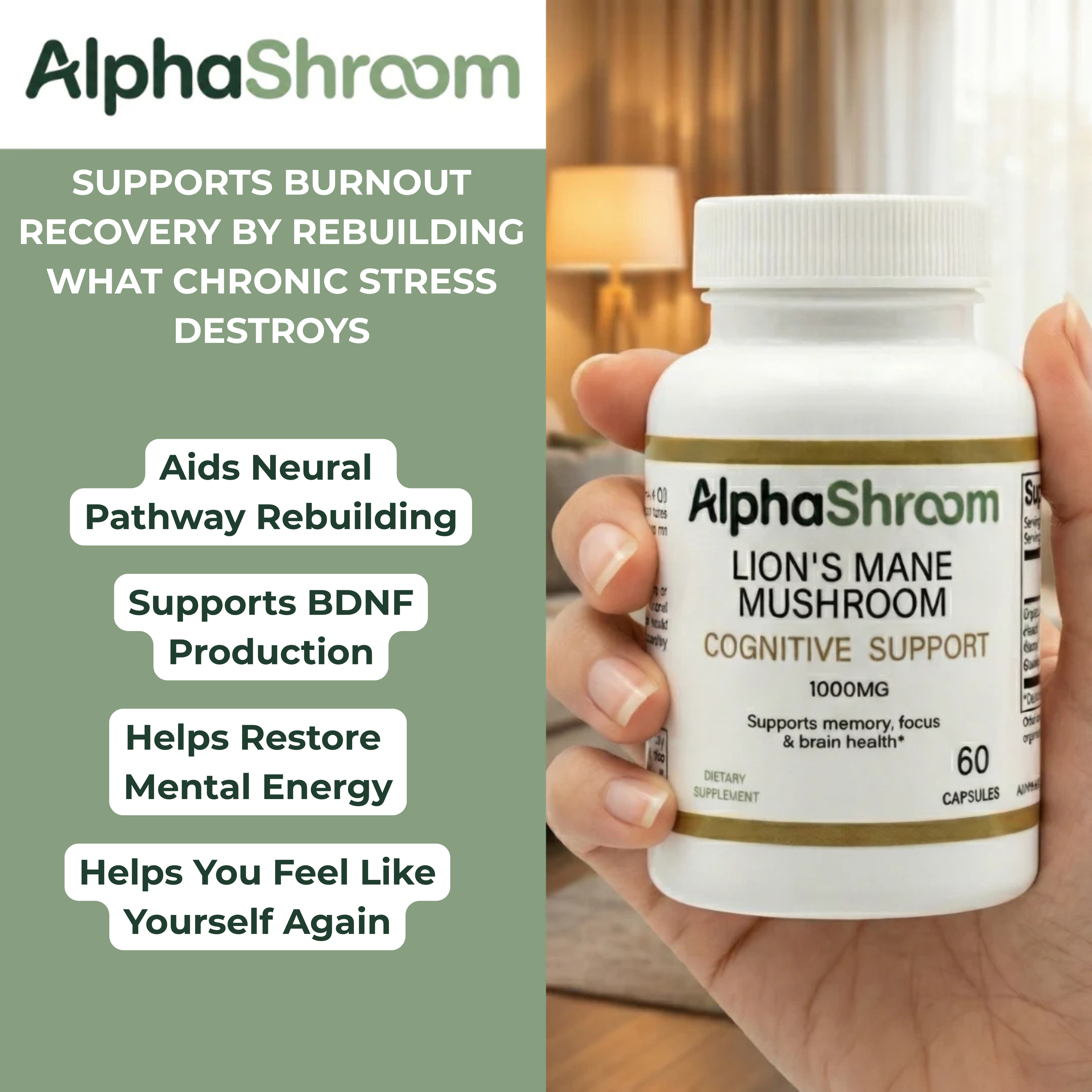 AlphaShroom - Burnout Support
